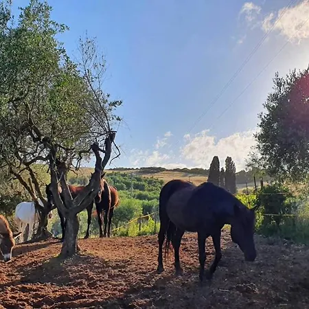Il Nido * Volterra