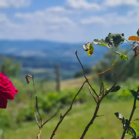 Apartment Il Nido Volterra